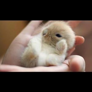 Meet your Posher, Kyleigh